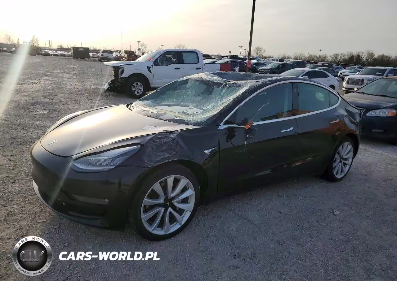 2019 Tesla Model 3