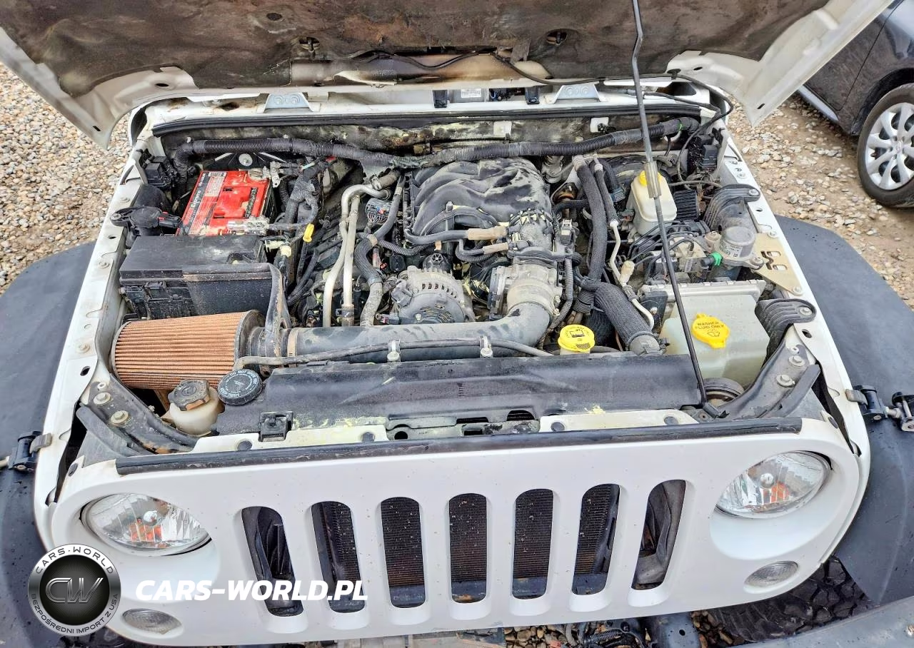 2016 Jeep Wrangler Unlimited Rubicon VIN:1C4BJWFG0GL135131 - 11