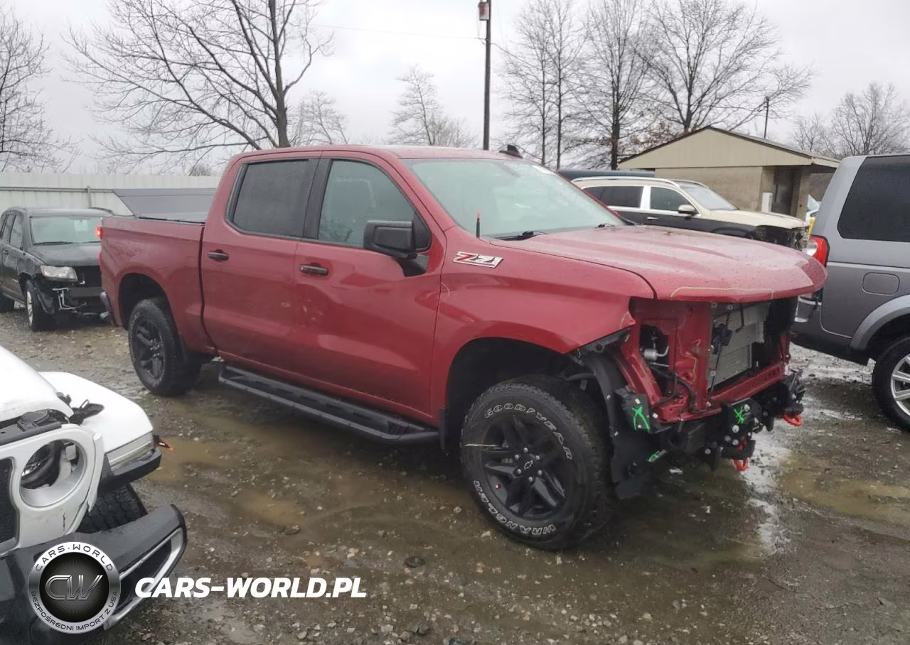 2020 Chevrolet Silverado K1500 Lt Trail Boss VIN:1GCPYFED3LZ310536 - 4