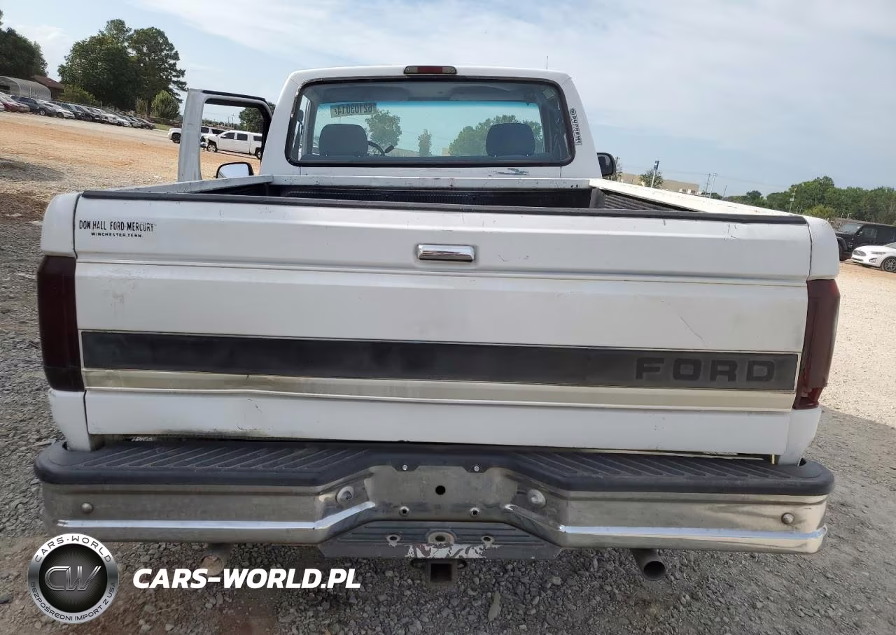 1994 Ford F150 VIN:1FTEF15N1RNB18489 - 10