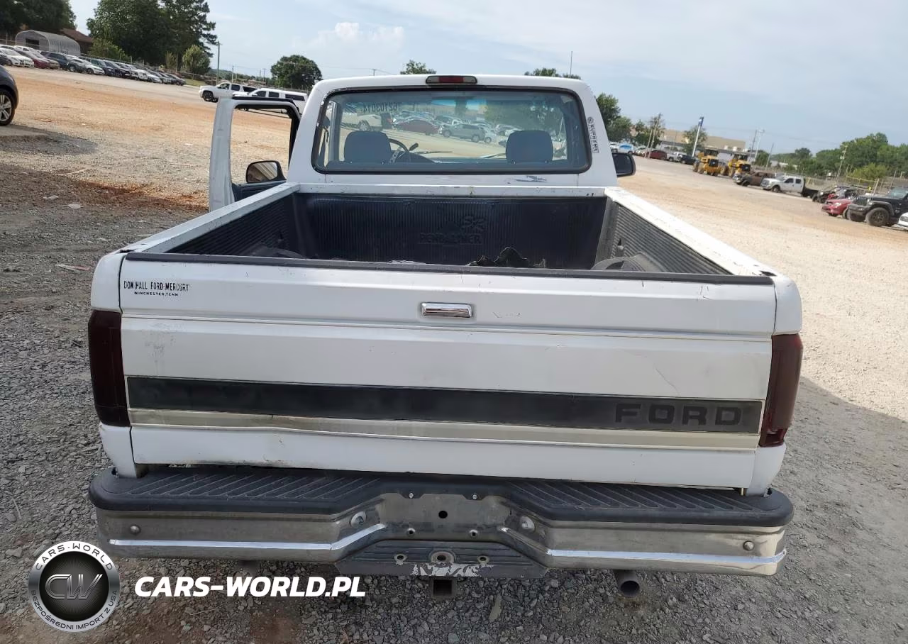 1994 Ford F150 VIN:1FTEF15N1RNB18489 - 6