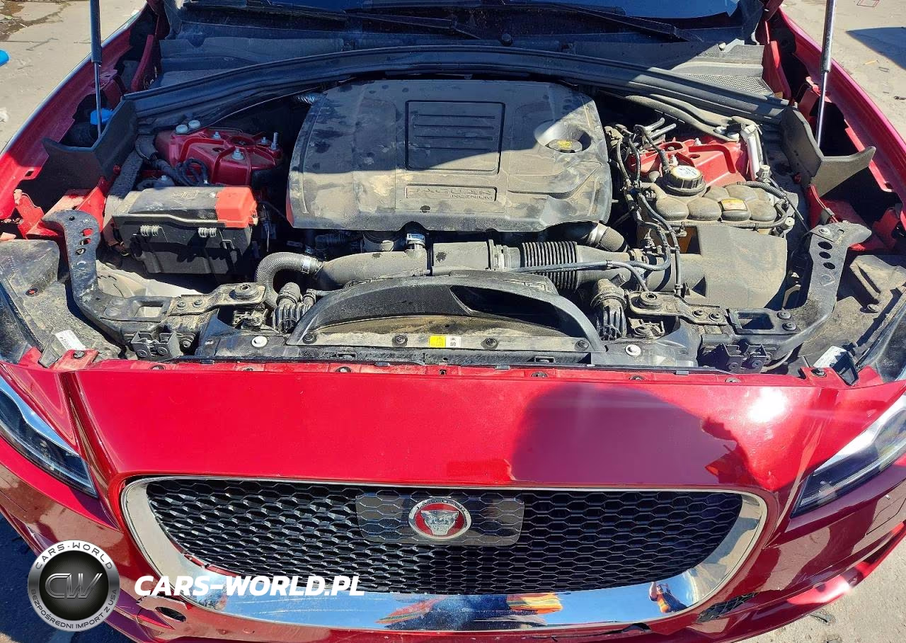 2019 Jaguar F-Pace Portfolio VIN:SADCN2GX3KA396150 - 12