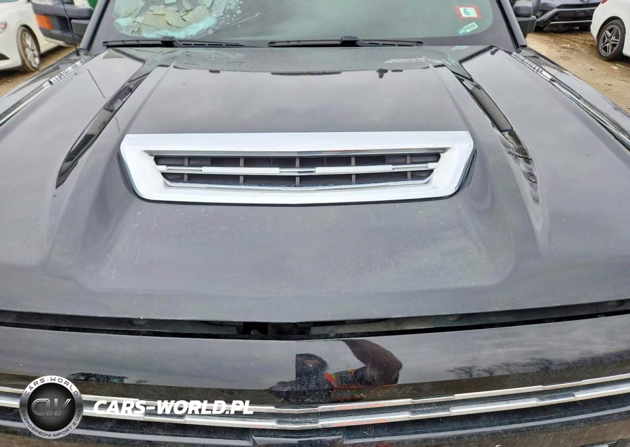 2019 Chevrolet Silverado K2500 Heavy Duty Ltz VIN:1GC1KTEY0KF120914 - 11
