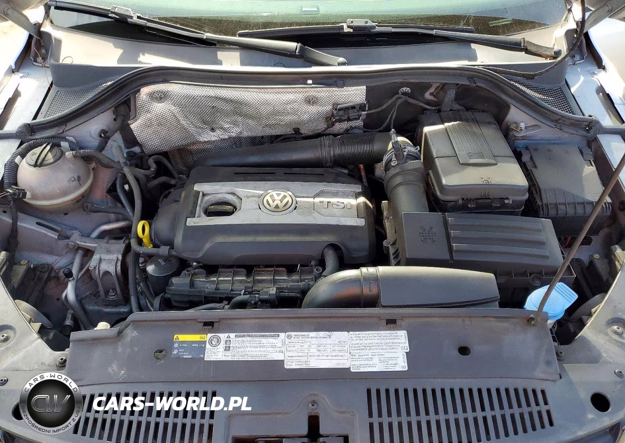 2014 Volkswagen Tiguan S VIN:WVGBV3AX2EW586658 - 12