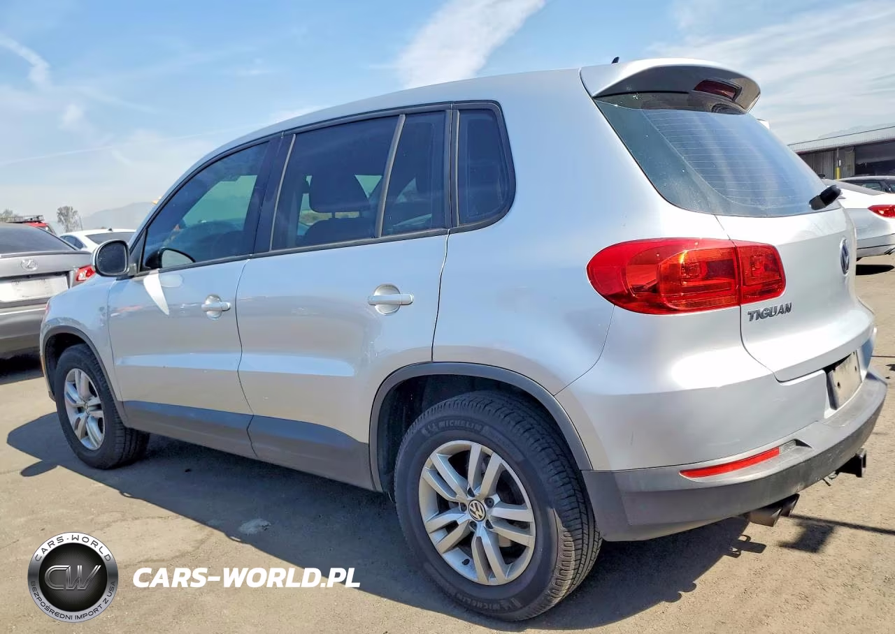 2014 Volkswagen Tiguan S VIN:WVGBV3AX2EW586658 - 2