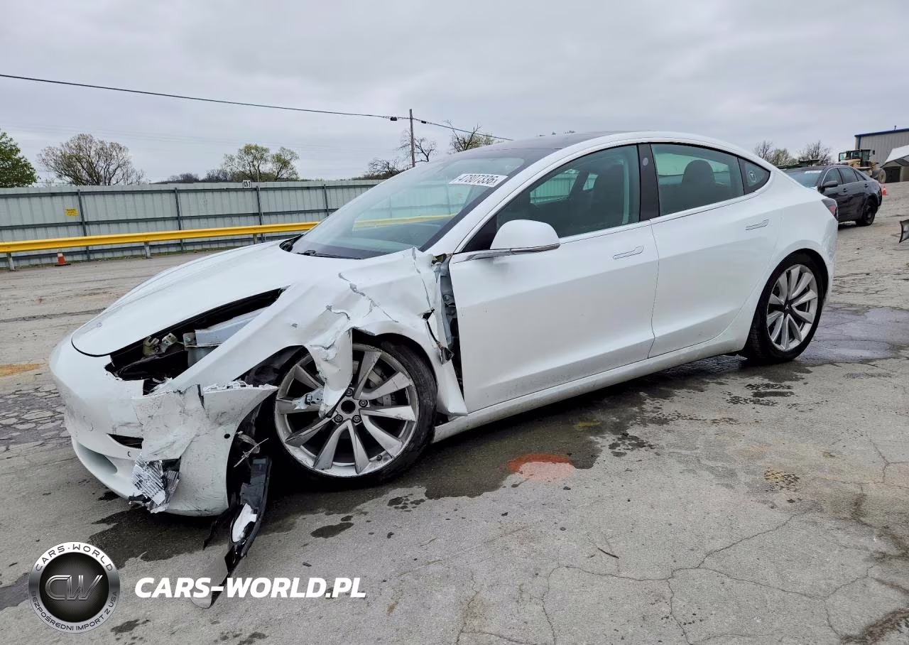2019 Tesla Model 3