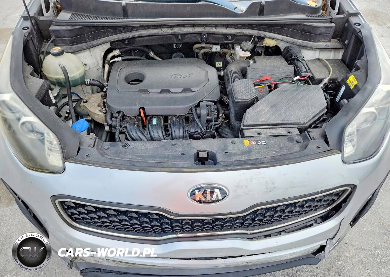 2019 Kia Sportage Lx VIN:KNDPM3AC6K7622139 - 12