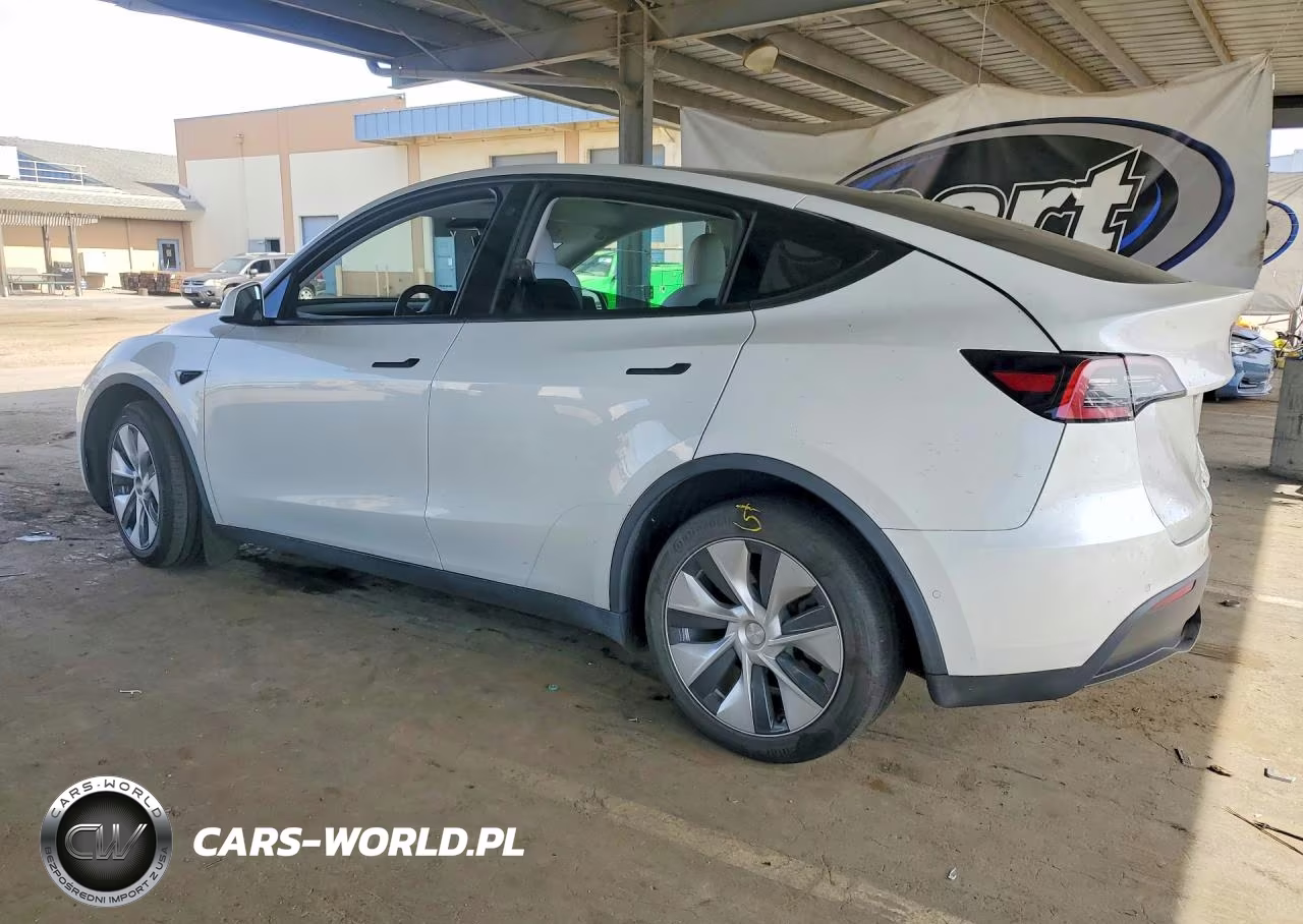 2022 Tesla Model Y VIN:7SAYGDEE7NF416133 - 2