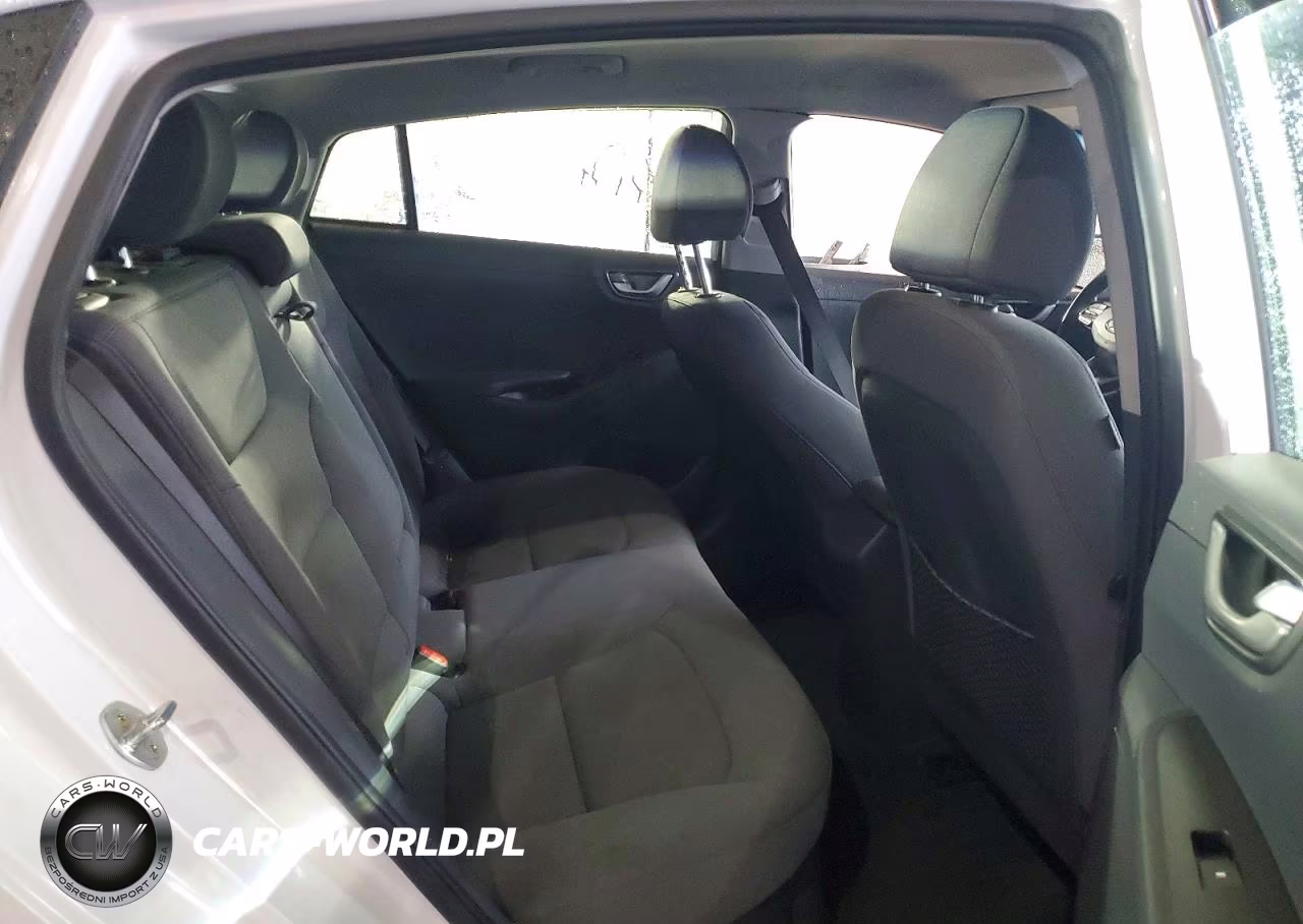 2020 Hyundai Ioniq VIN:KMHC65LD1LU203740 - 10