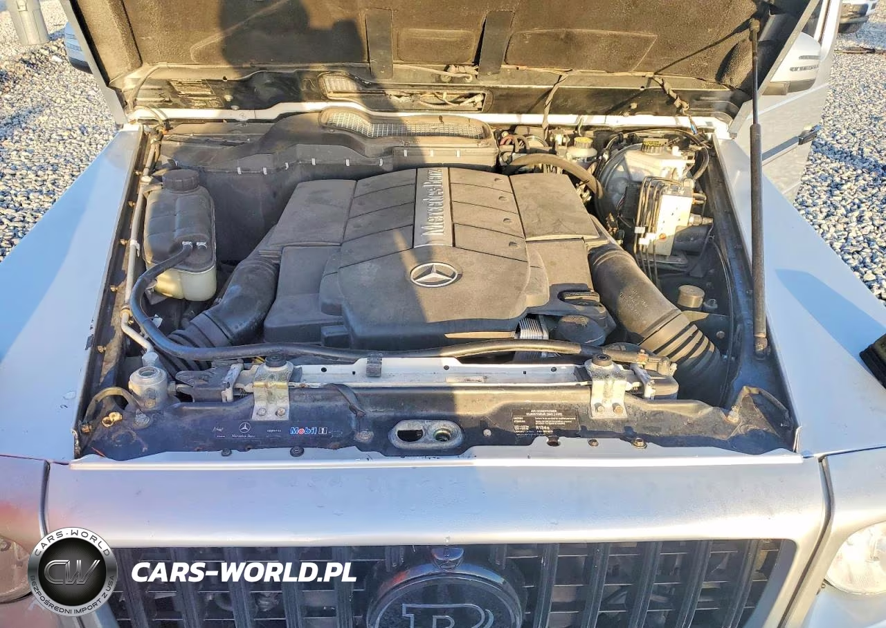 2003 Mercedes-Benz G 500 VIN:WDCYR49E53X135561 - 12