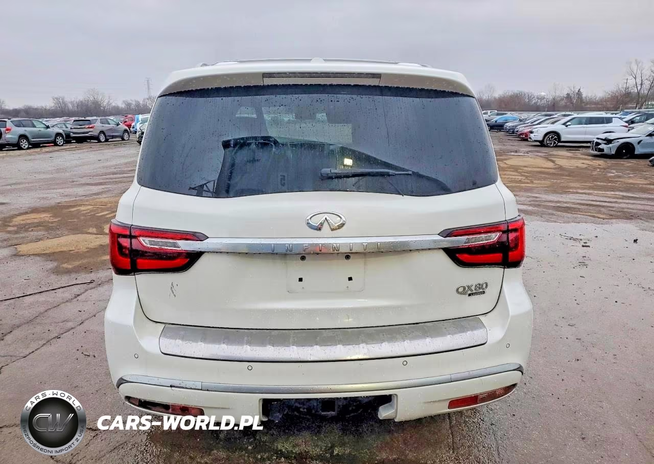 2019 Infiniti Qx80 Limited VIN:JN8AZ2NE4K9238091 - 6