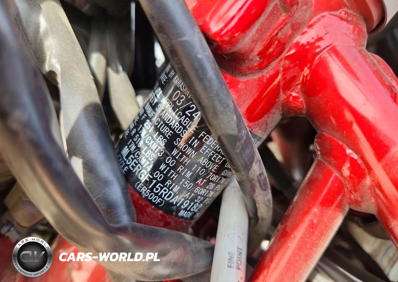 2024 Kawasaki Er500 VIN:ML5ERGF15RDA19182 - 10