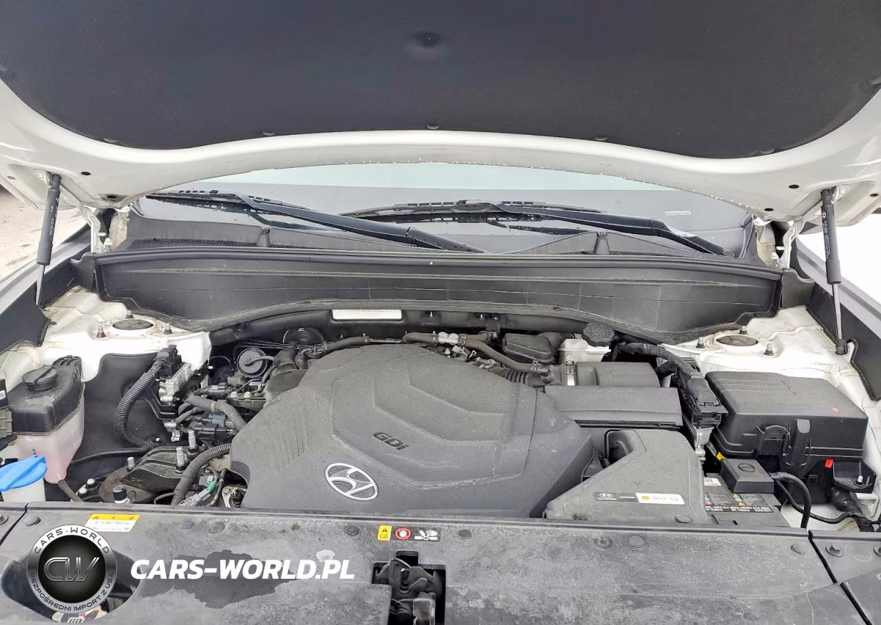 2021 Hyundai Palisade Sel W VIN:KM8R3DHE7MU223572 - 11