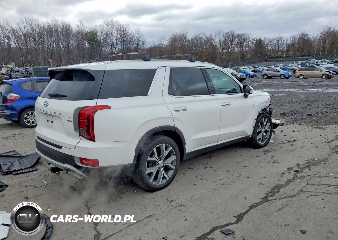 2021 Hyundai Palisade Sel W VIN:KM8R3DHE7MU223572 - 3