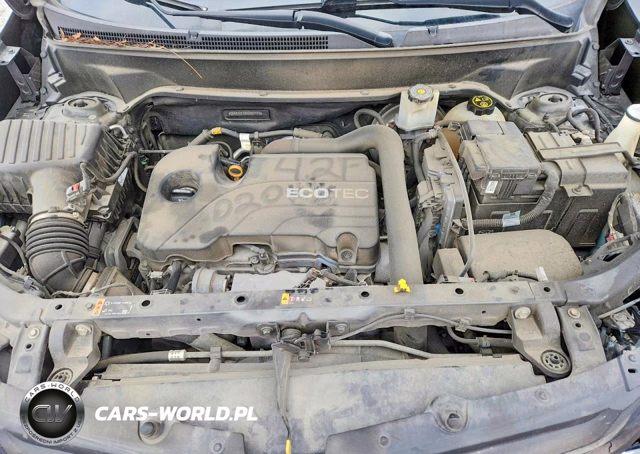 2019 Chevrolet Equinox Ls VIN:3GNAXHEV2KS559913 - 12