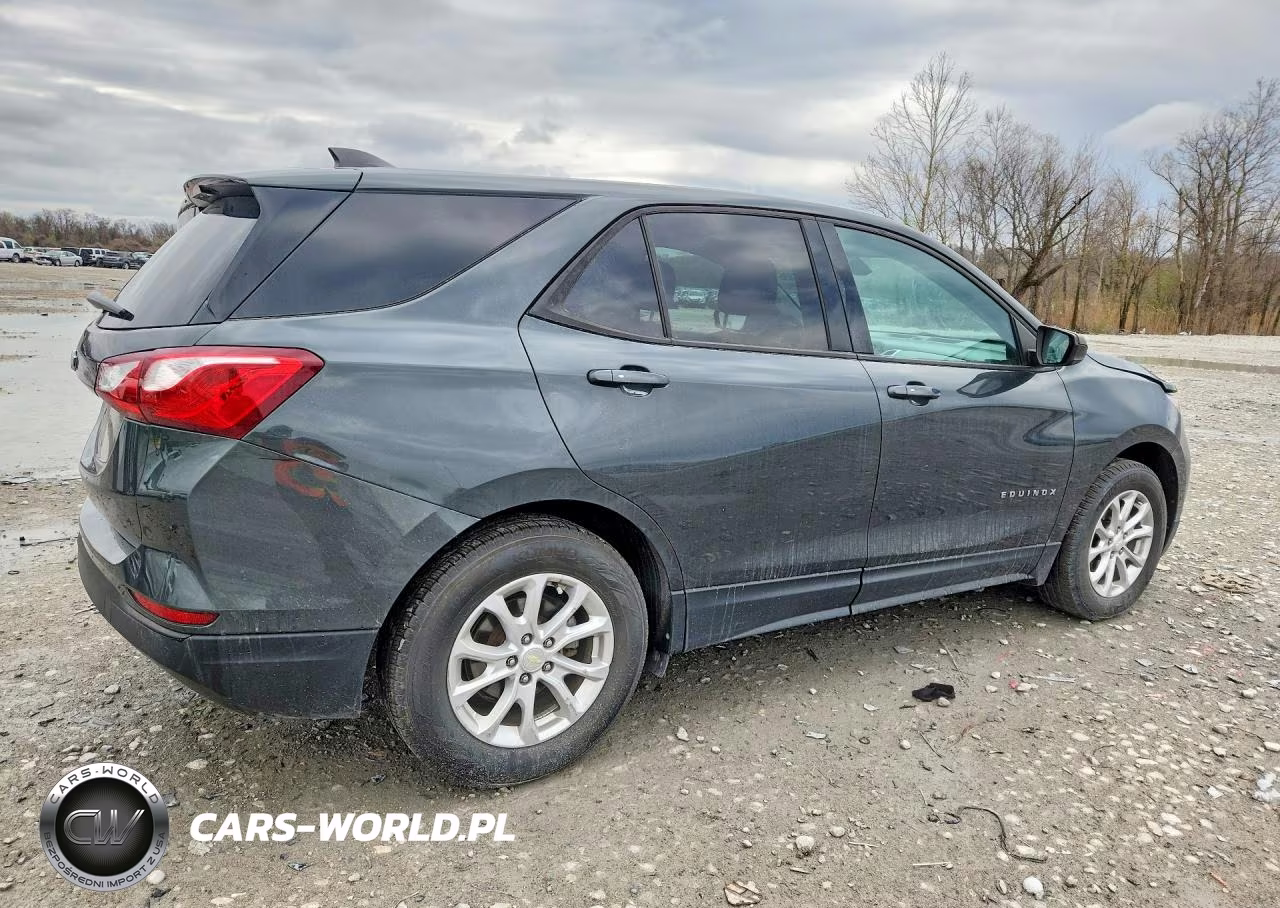2019 Chevrolet Equinox Ls VIN:3GNAXHEV2KS559913 - 3