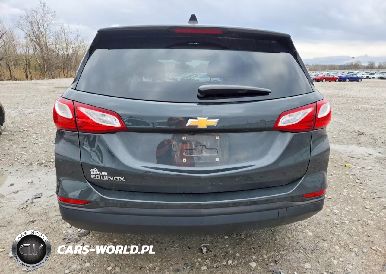 2019 Chevrolet Equinox Ls VIN:3GNAXHEV2KS559913 - 6