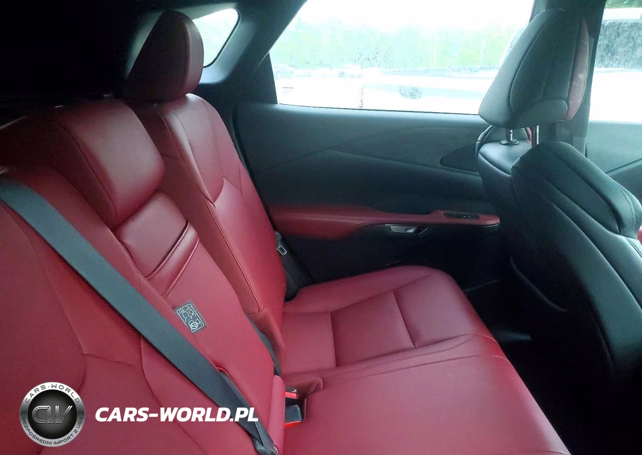 2023 Lexus Rx 350 F Sport Handling VIN:2T2BAMCA3PC006601 - 10