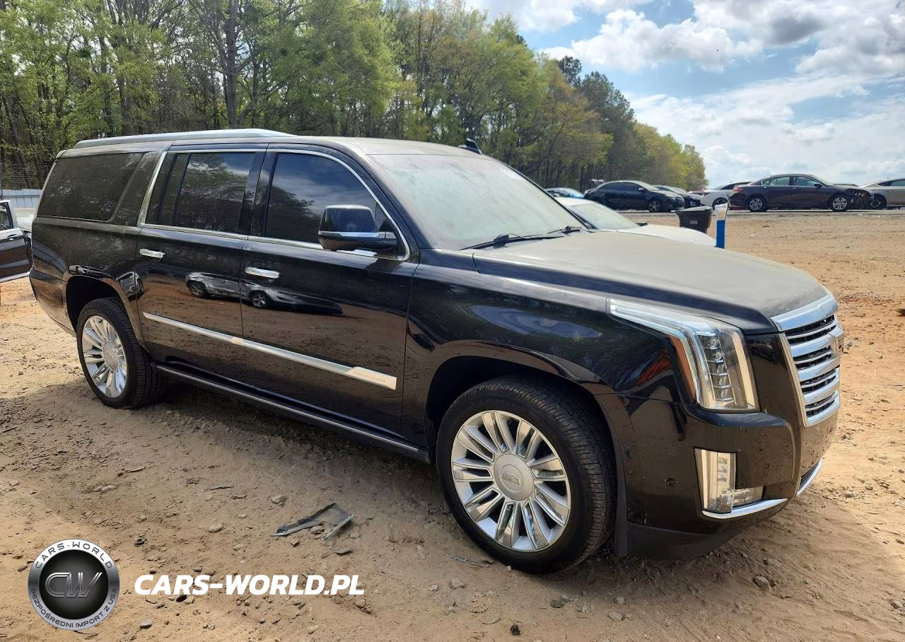2018 Cadillac Escalade Esv Platinum VIN:1GYS4KKJ5JR380281 - 4