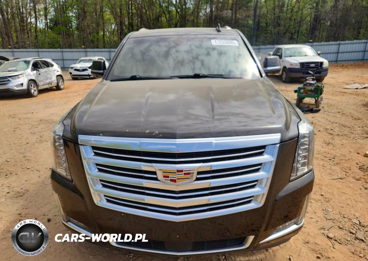 2018 Cadillac Escalade Esv Platinum VIN:1GYS4KKJ5JR380281 - 5