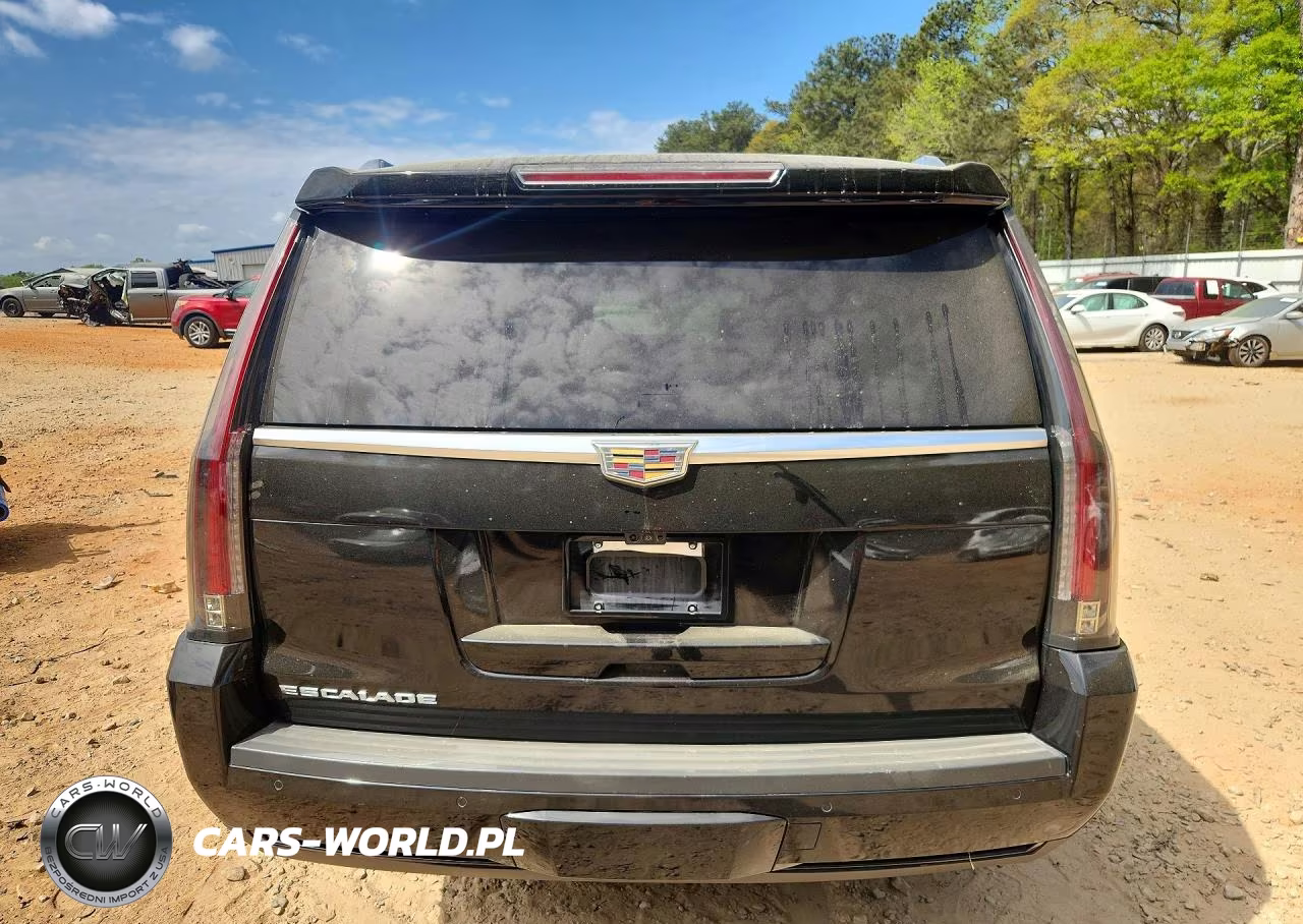 2018 Cadillac Escalade Esv Platinum VIN:1GYS4KKJ5JR380281 - 6