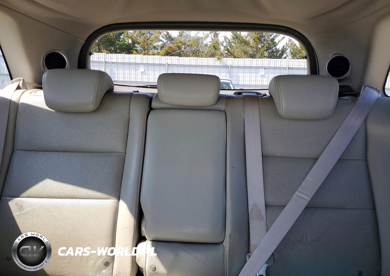 2009 Acura Rdx Technology VIN:5J8TB18539A001746 - 10