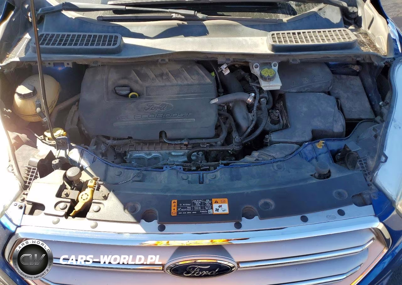 2018 Ford Escape Se VIN:1FMCU0GD4JUC38319 - 11