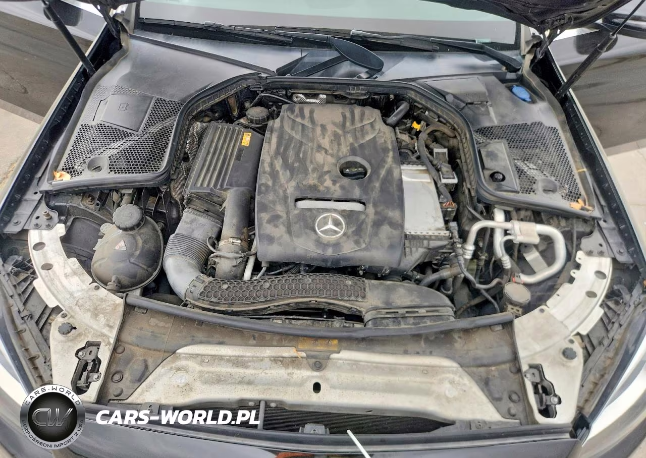 2017 Mercedes-Benz C 300 VIN:55SWF4JB2HU183851 - 11