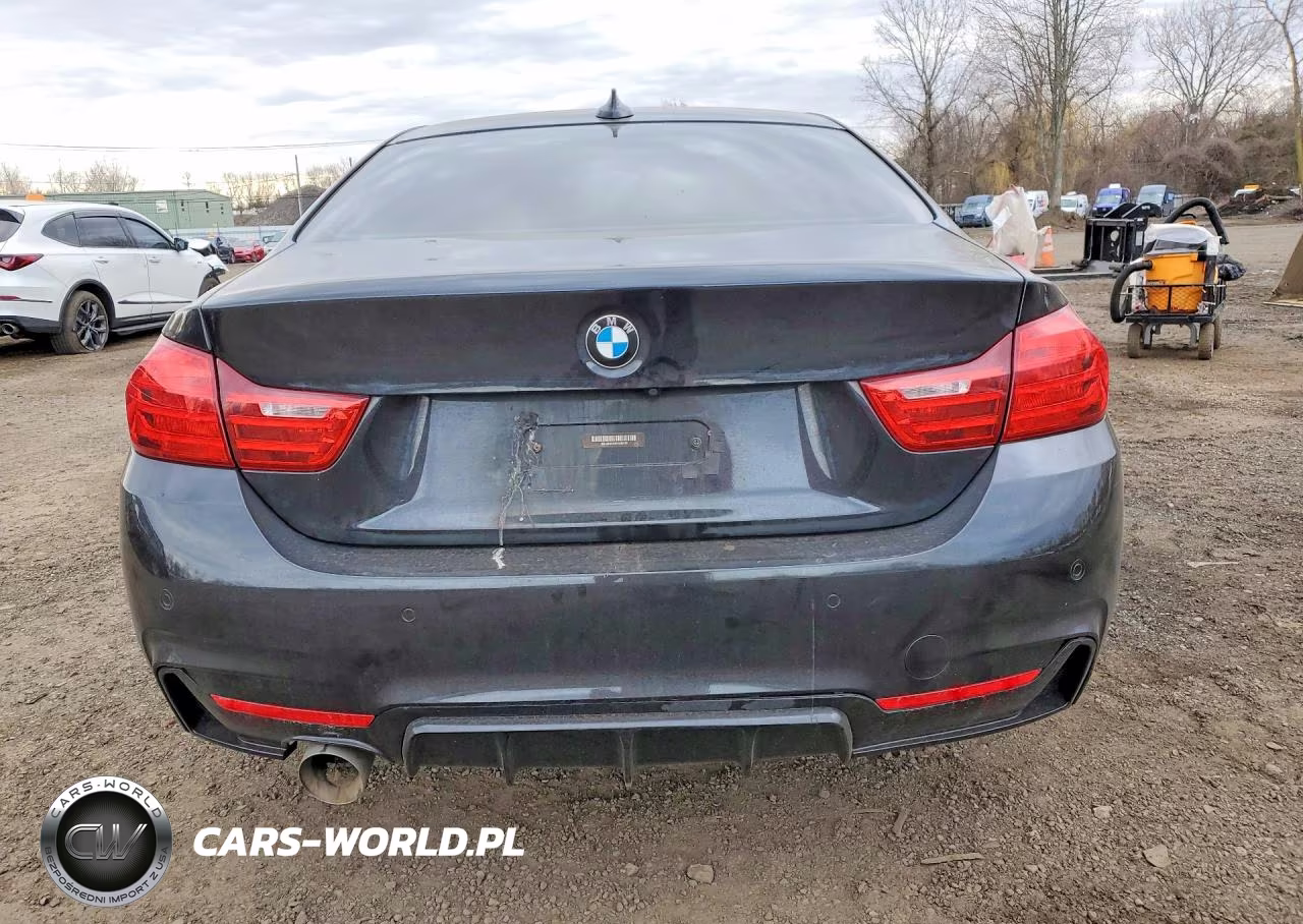 2014 BMW 428 Xi VIN:WBA3N9C52EK246079 - 6
