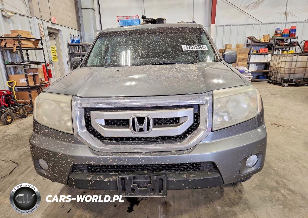 2009 Honda Pilot Exl VIN:5FNYF48699B031666 - 5