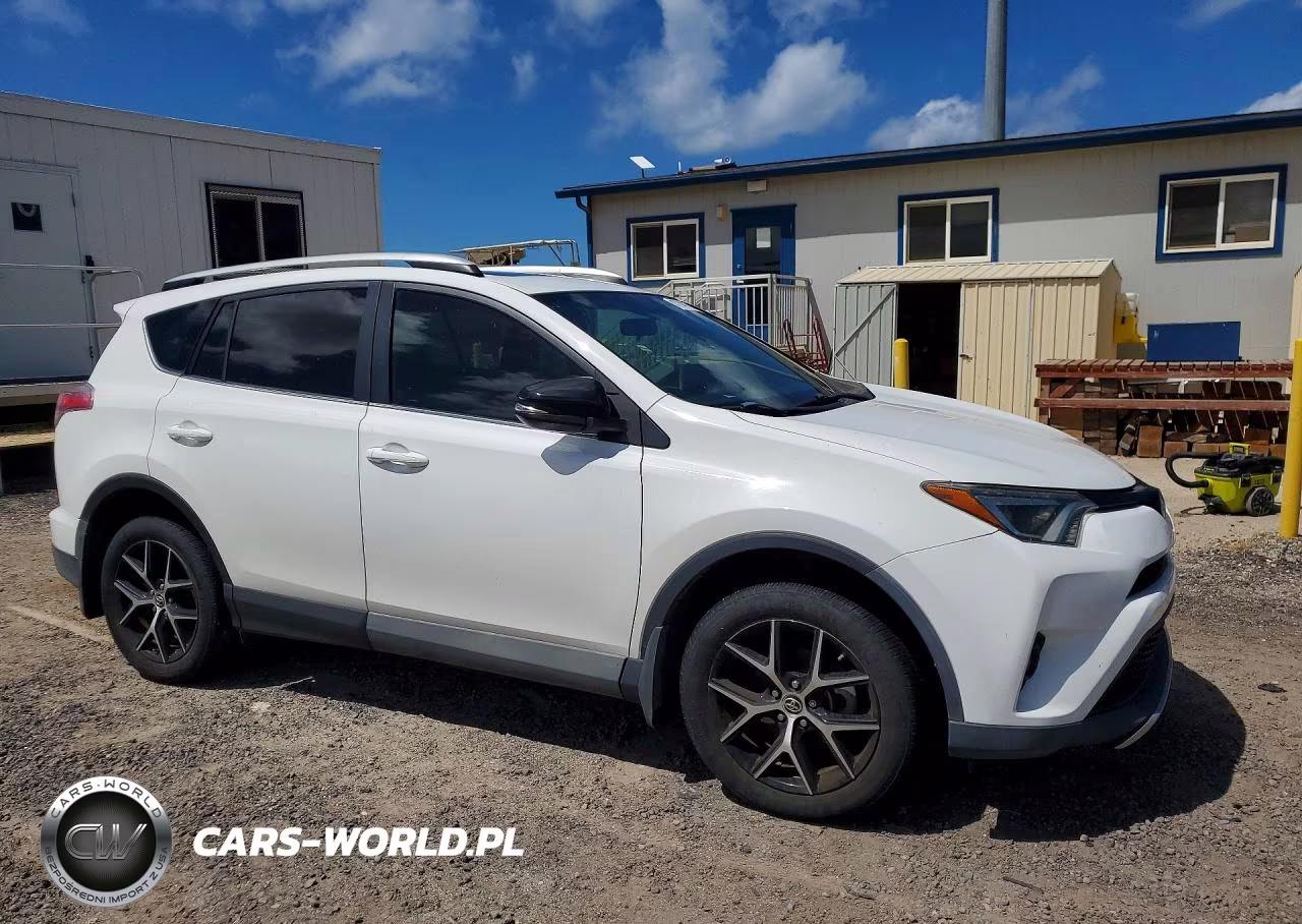 2016 Toyota Rav4 Se VIN:2T3JFREV0GW440849 - 4