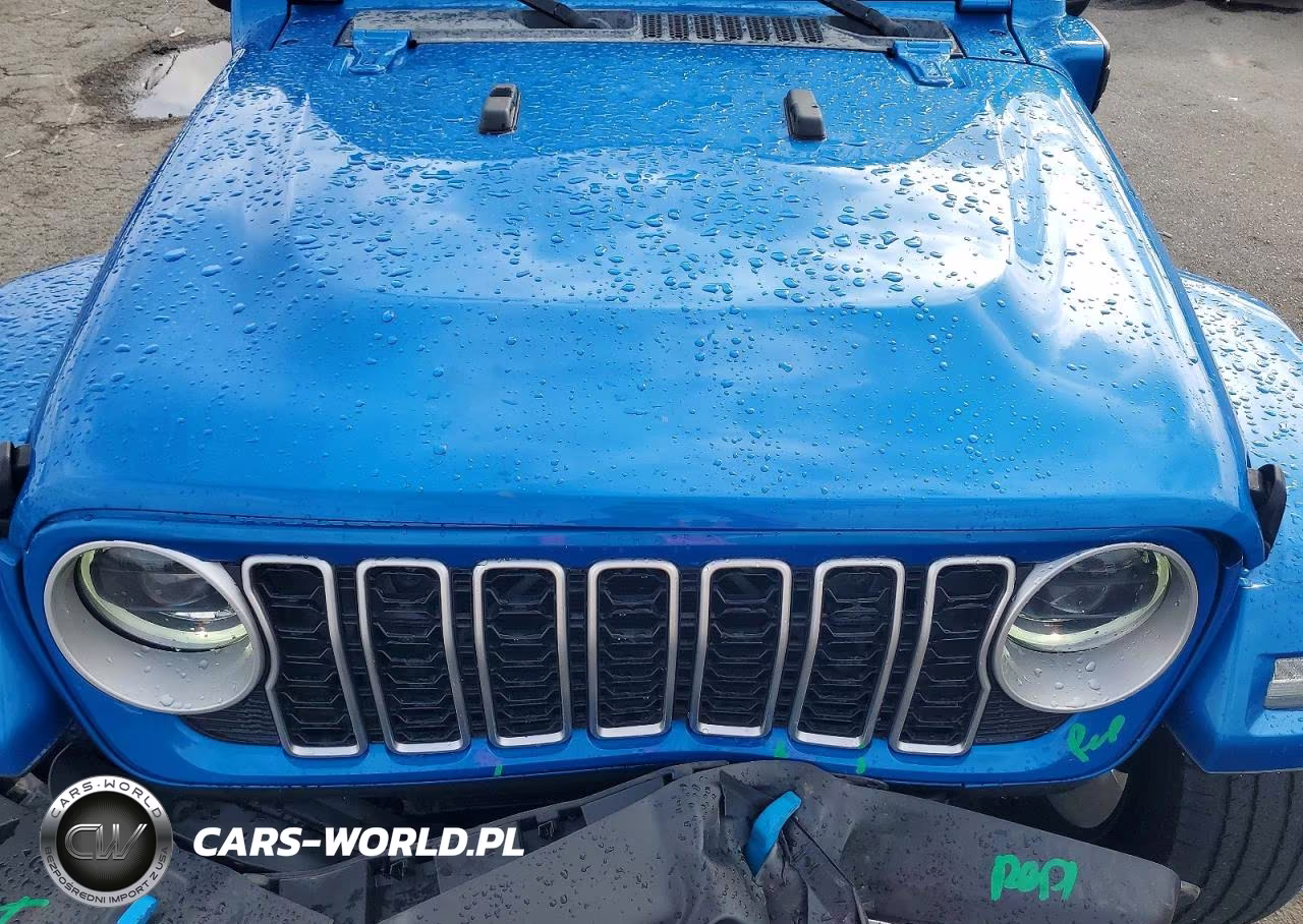 2024 Jeep Wrangler Sahara 4Xe VIN:1C4RJXP68RW196559 - 11