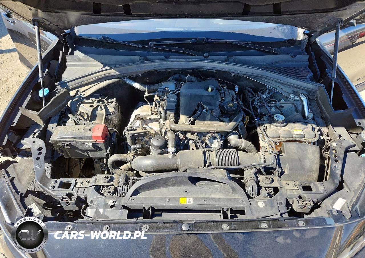 2019 Jaguar F-Pace Premium VIN:SADCJ2FX8KA355686 - 12