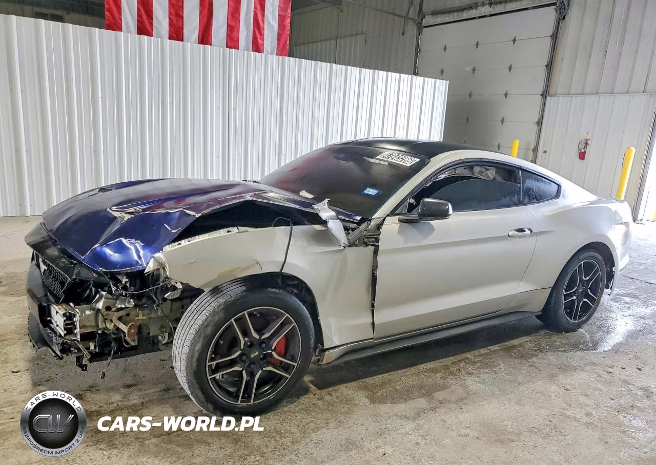 2019 Ford Mustang