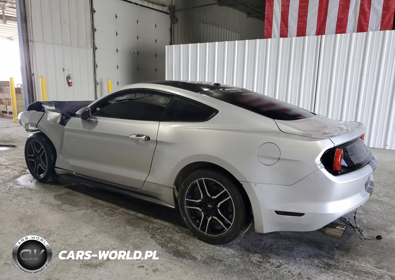 2019 Ford Mustang VIN:1FA6P8TH0K5117997 - 2