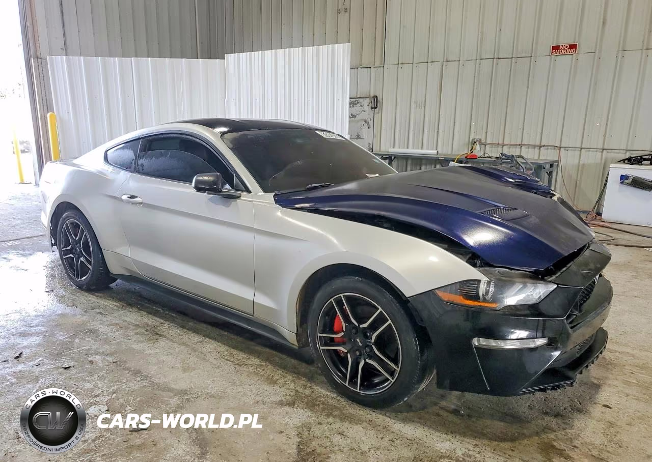 2019 Ford Mustang VIN:1FA6P8TH0K5117997 - 4