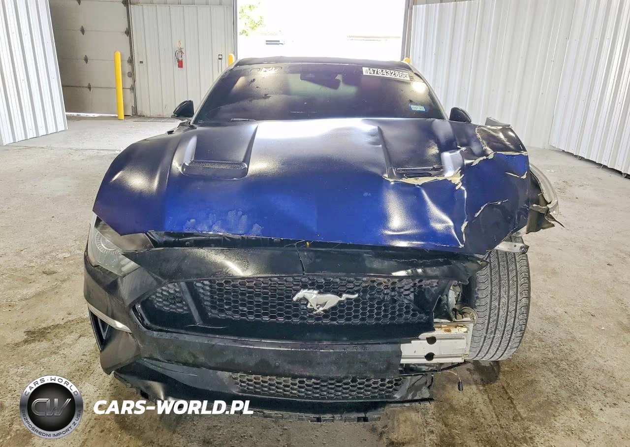 2019 Ford Mustang VIN:1FA6P8TH0K5117997 - 5