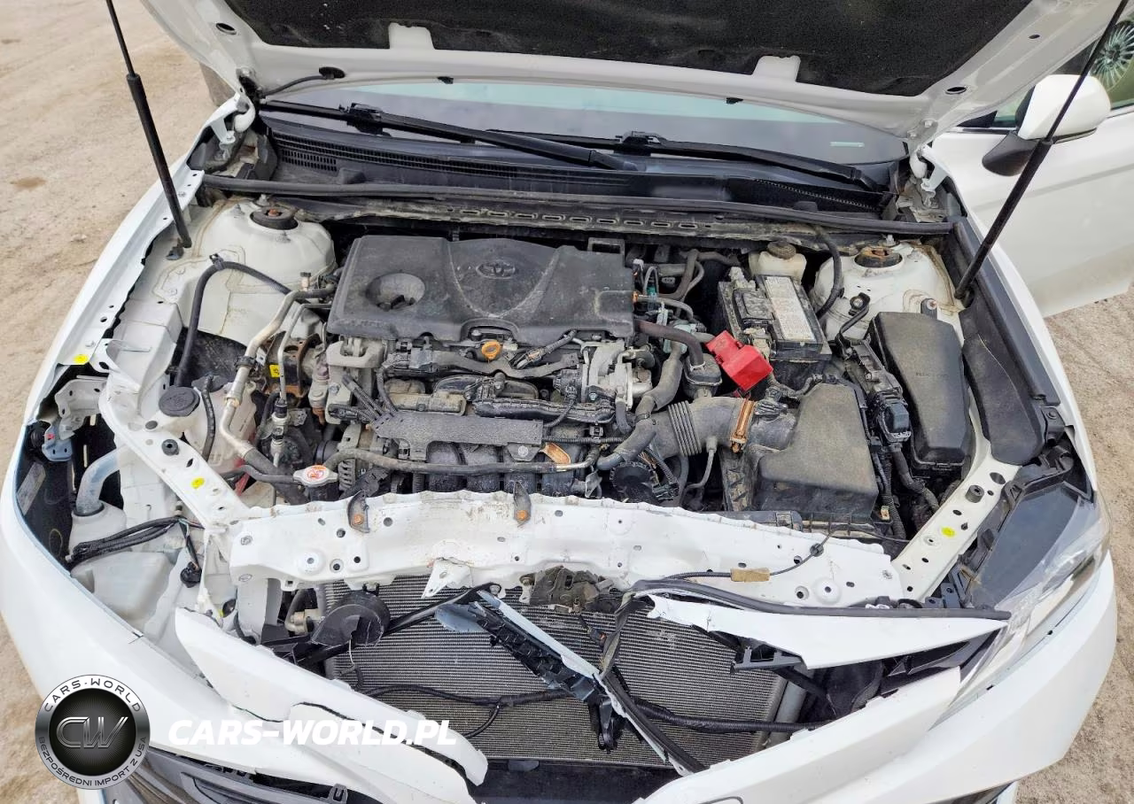2020 Toyota Camry Le VIN:4T1C11BKXLU013734 - 11