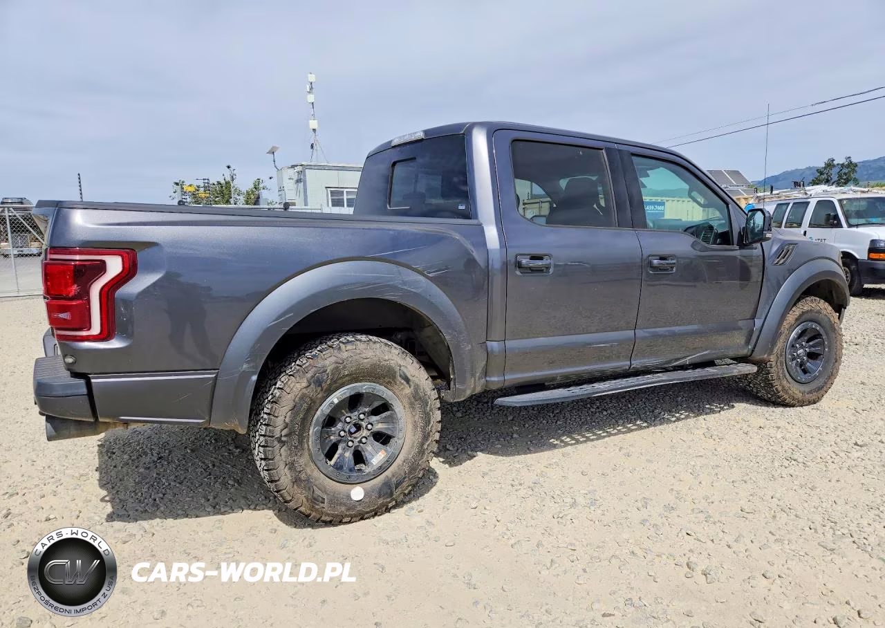 2018 Ford F150 Raptor VIN:1FTFW1RG1JFC63773 - 3