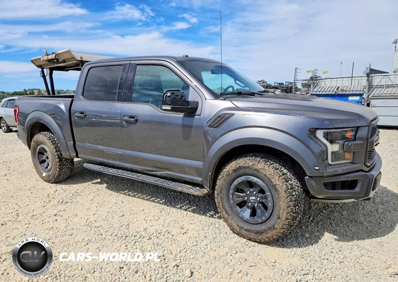 2018 Ford F150 Raptor VIN:1FTFW1RG1JFC63773 - 4