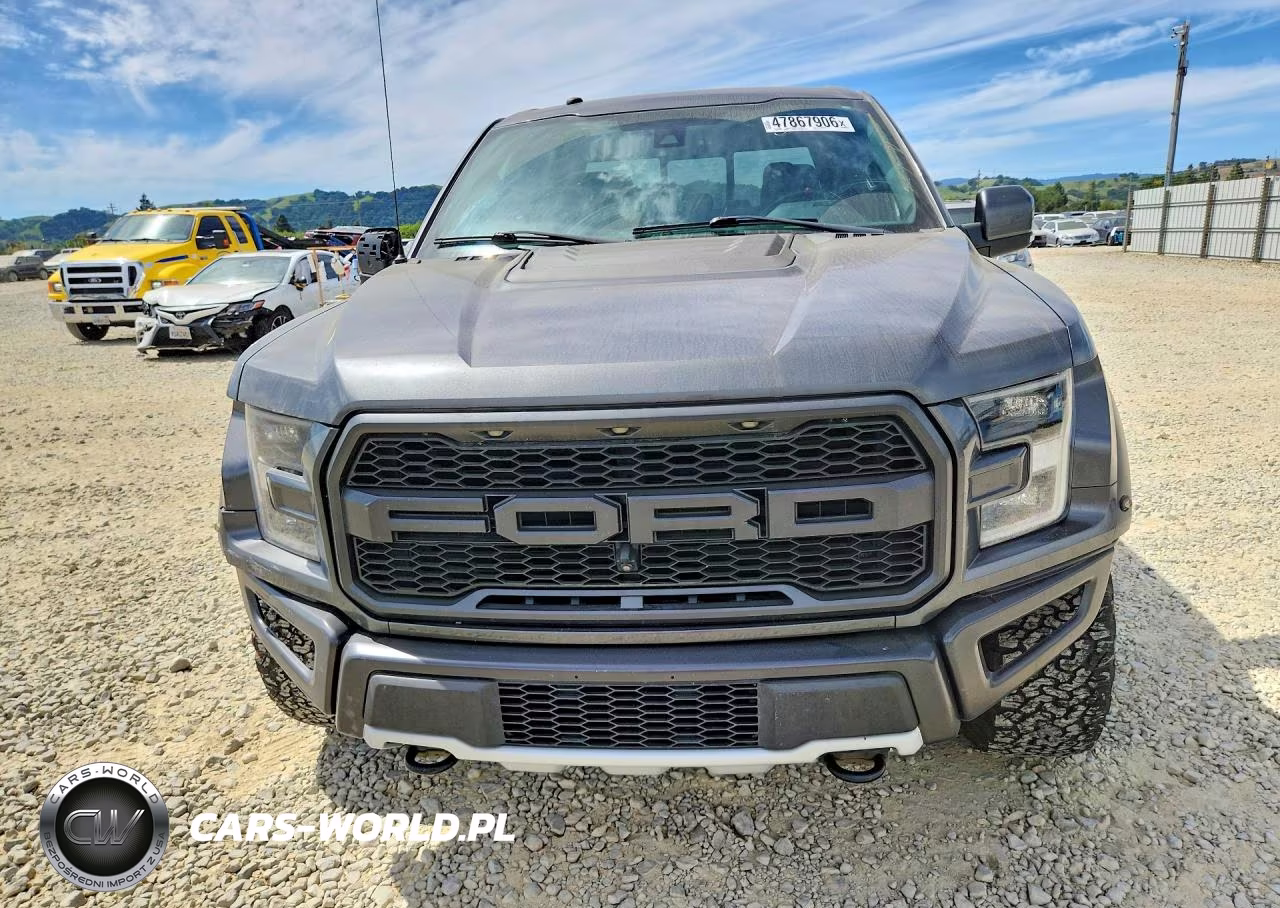 2018 Ford F150 Raptor VIN:1FTFW1RG1JFC63773 - 5