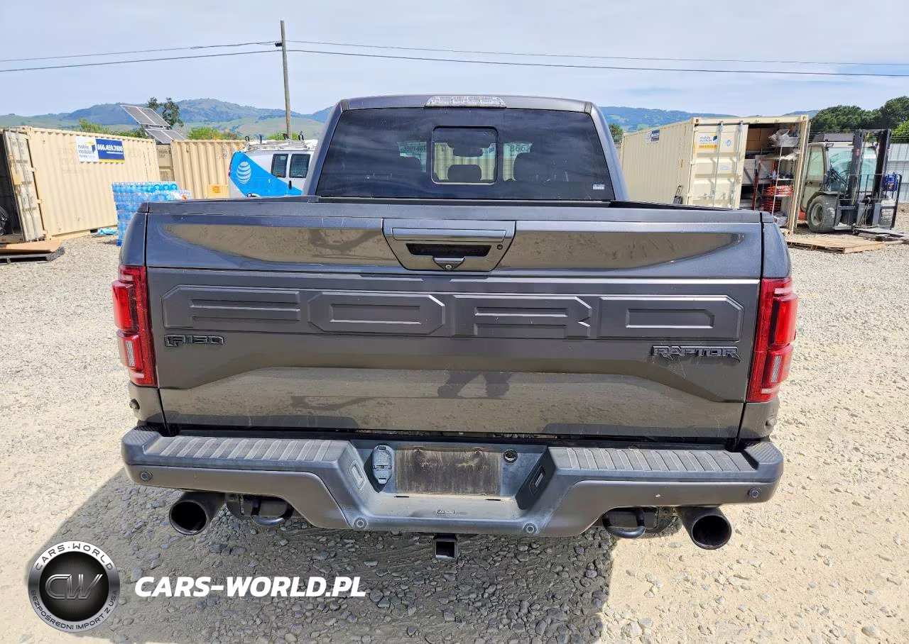 2018 Ford F150 Raptor VIN:1FTFW1RG1JFC63773 - 6