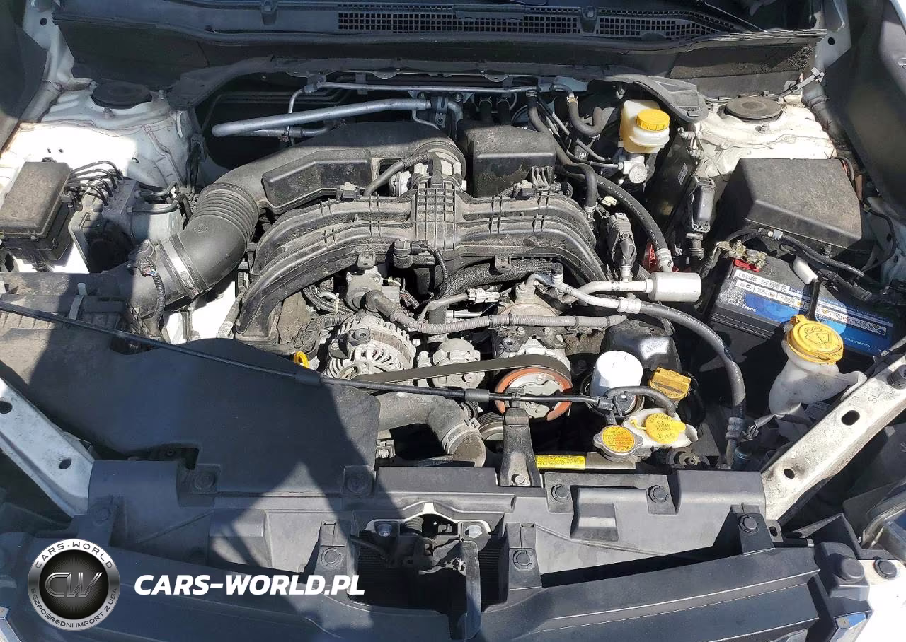 2019 Subaru Forester Limited VIN:JF2SKAUC4KH584194 - 11