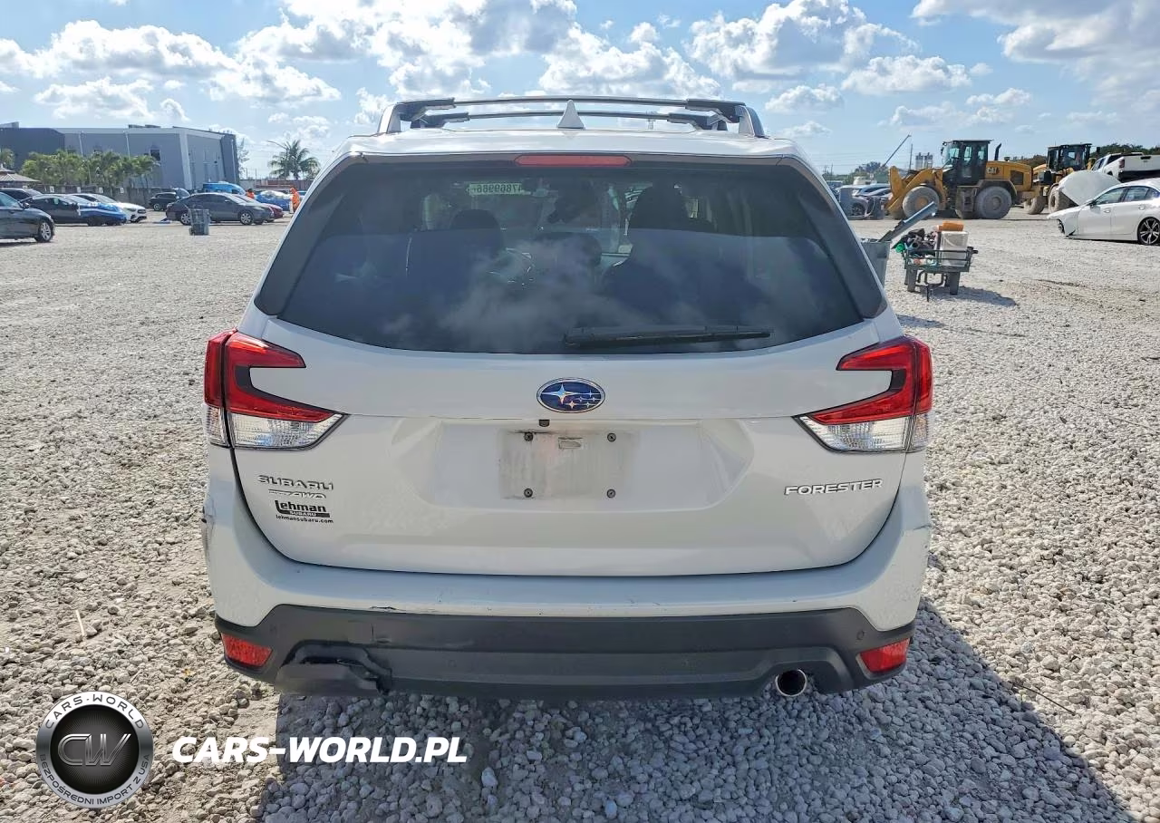 2019 Subaru Forester Limited VIN:JF2SKAUC4KH584194 - 6