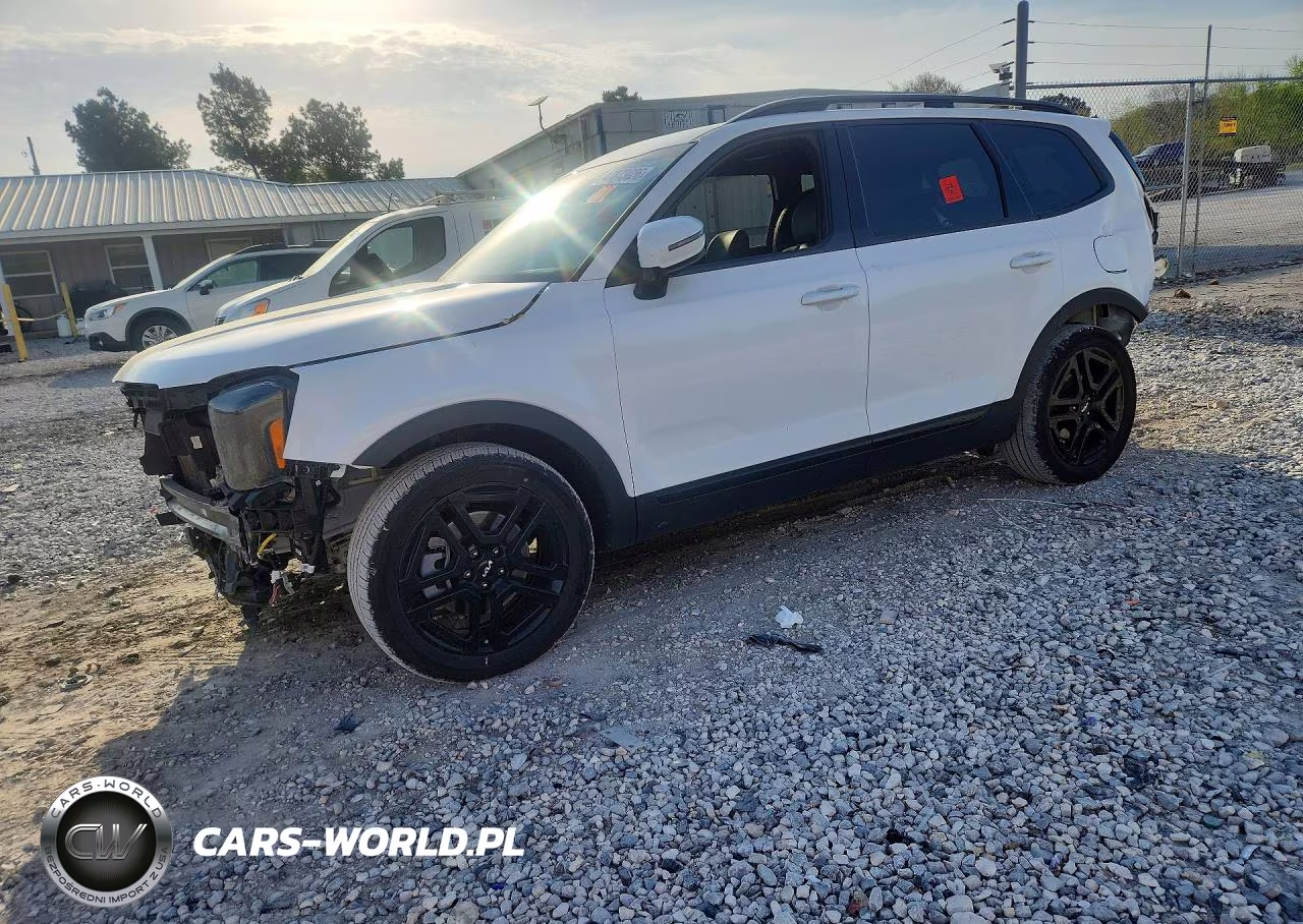 2024 Kia Telluride Sx-Prestige X-Line