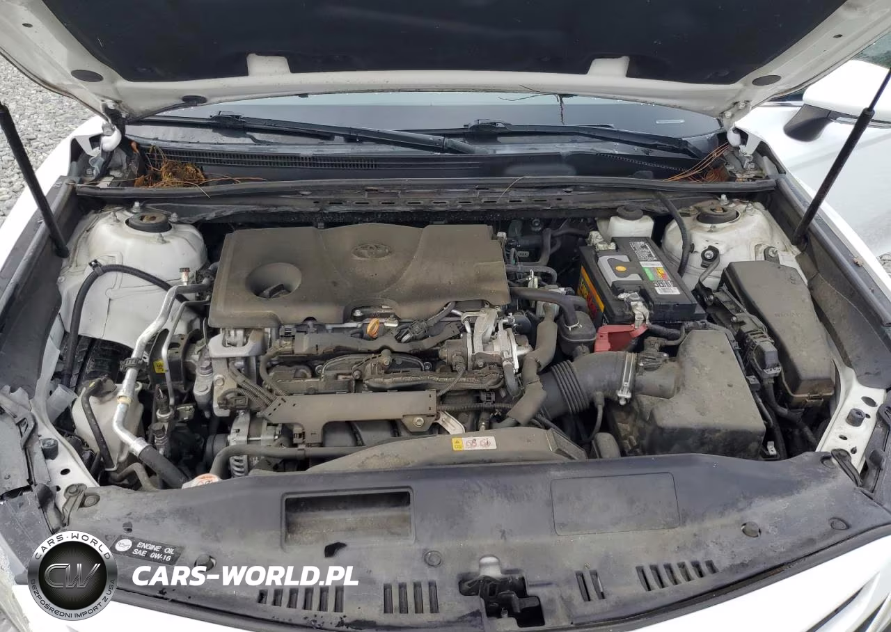 2019 Toyota Camry Se VIN:4T1B11HK6KU772270 - 11