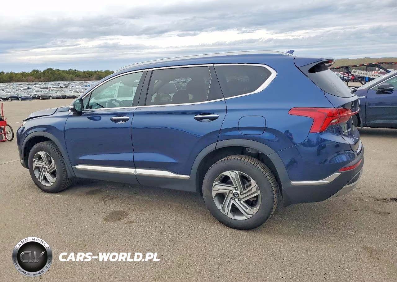 2021 Hyundai Santa Fe Sel VIN:5NMS6DAJ0MH354760 - 2