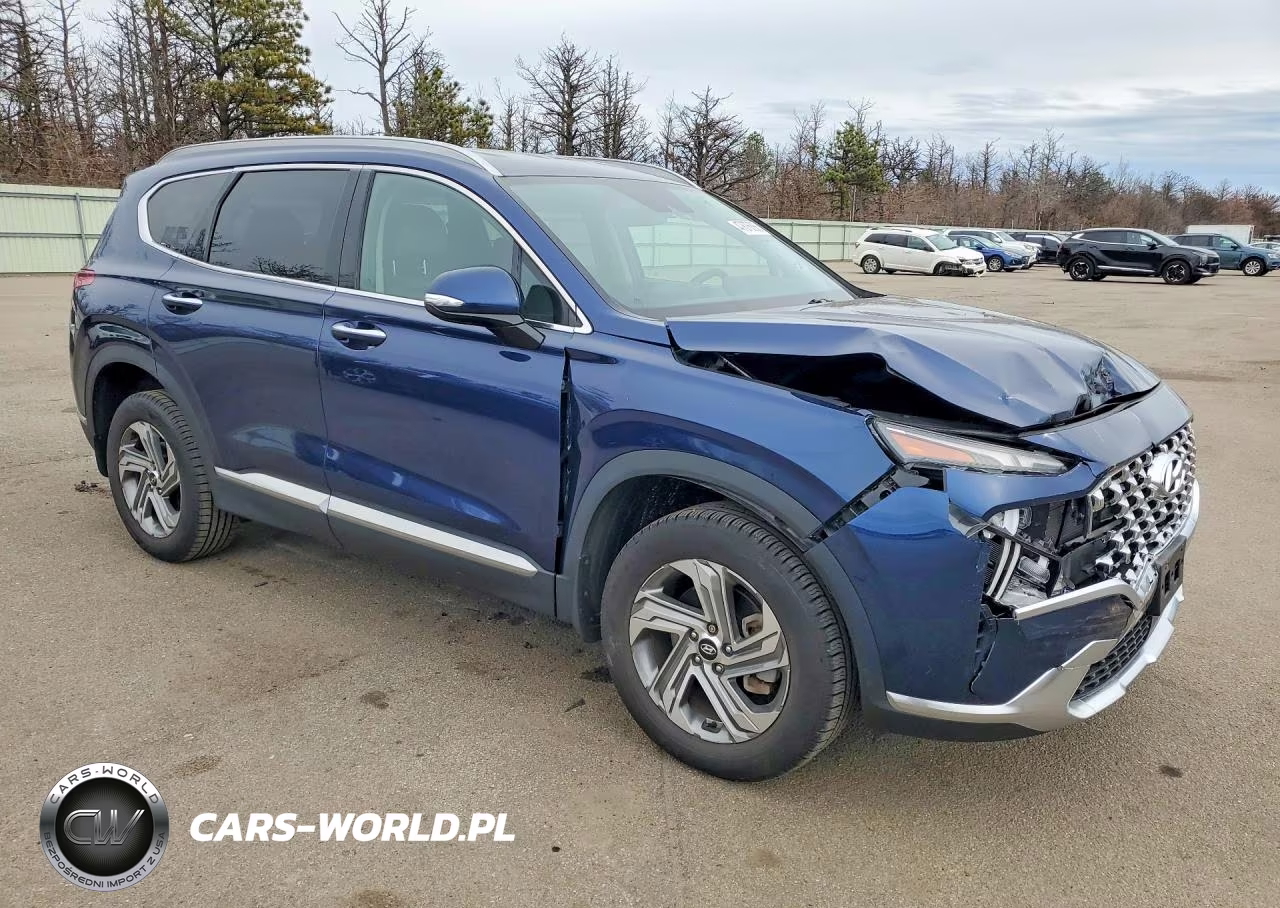 2021 Hyundai Santa Fe Sel VIN:5NMS6DAJ0MH354760 - 4