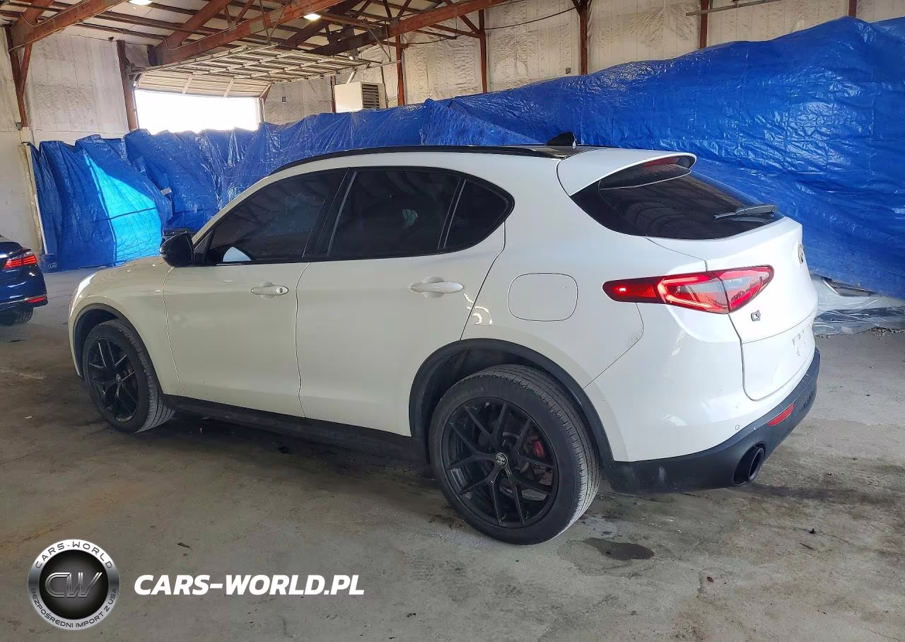 2019 Alfa Romeo Stelvio VIN:ZASPAKAN7K7C67820 - 2