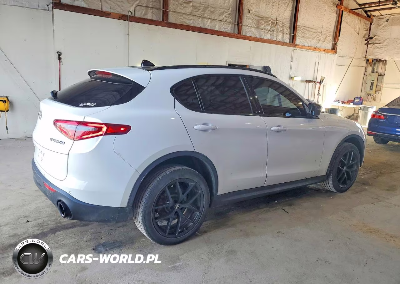 2019 Alfa Romeo Stelvio VIN:ZASPAKAN7K7C67820 - 3